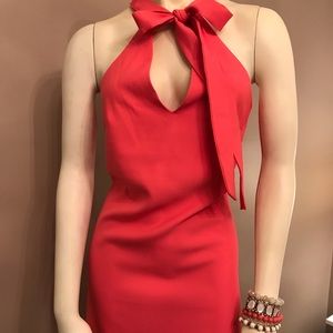 NWT- Gorgeous coral shift dress. Poet bow neckline